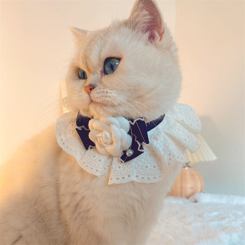Fashion Cat Lace Neck Pet Collar Bow